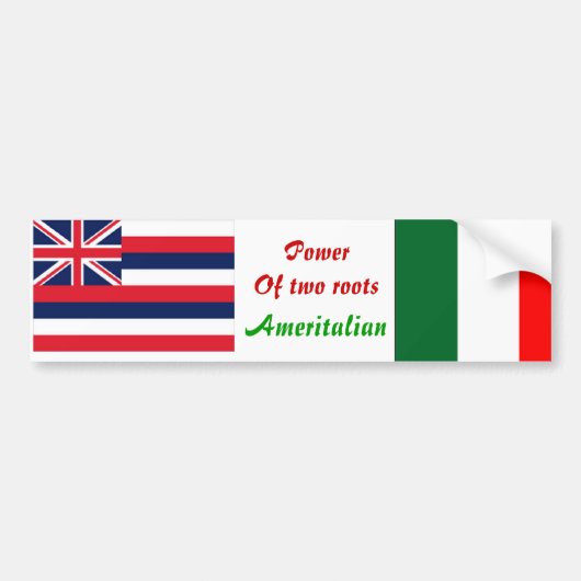 アメリカイタリアンのバンパー バンパーステッカー (正面)