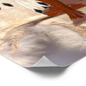 アメリカインディアンプリンセスドリーム捕手ポスター ポスター (角)