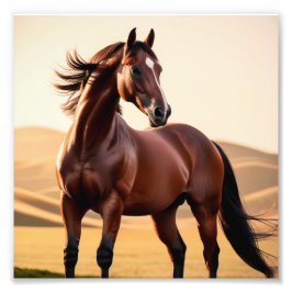 アメリカウマ フォトプリント           