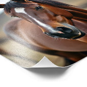 アメリカウマ フォトプリント            (角)