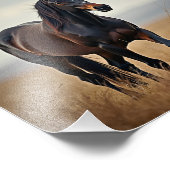 アメリカウマ フォトプリント            (角)