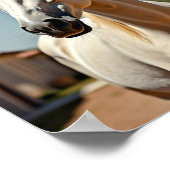 アメリカウマ ポスター (角)