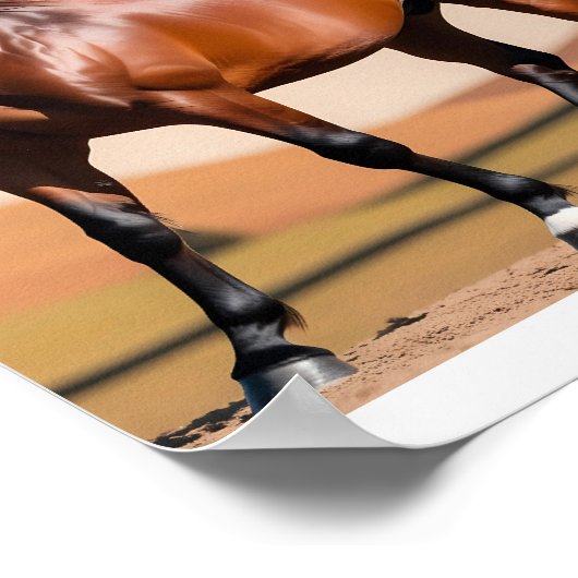 アメリカウマ ポスター (角)