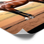 アメリカウマ ポスター (角)