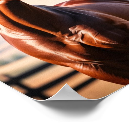 アメリカウマ ポスター (角)