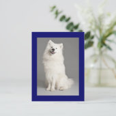 アメリカエスキモエスキーパピードッグ空白のはがき ポストカード (スタンド正面)