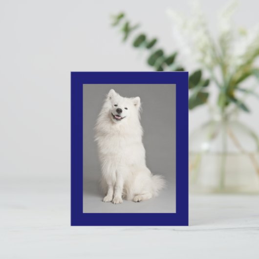 アメリカエスキモエスキーパピードッグ空白のはがき ポストカード (スタンド正面)