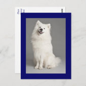 アメリカエスキモエスキーパピードッグ空白のはがき ポストカード (正面/裏面)