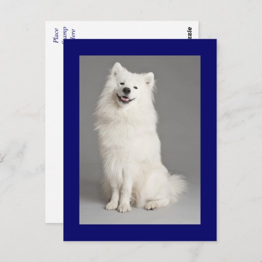 アメリカエスキモエスキーパピードッグ空白のはがき ポストカード (正面/裏面)