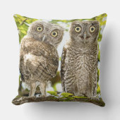 アメリカオオコノハズクのひよこ2 クッション (正面)