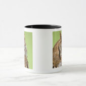 アメリカオオコノハズクのポートレート マグカップ (中央)