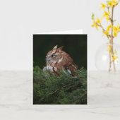 アメリカオオコノハズクのメッセージカードのためのNaptime カード (黄色い花)