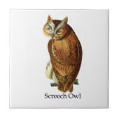 アメリカオオコノハズク タイル (正面)