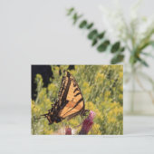 アメリカオオスカシバ ポストカード (スタンド正面)