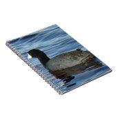 アメリカオオバン ノートブック (右側)