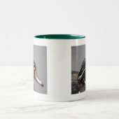 アメリカオシのツートーンマグの緑 ツートーンマグカップ (中央)