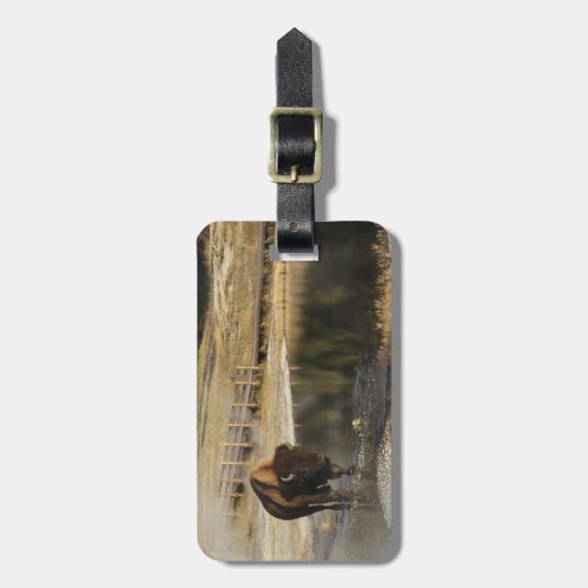 アメリカカスタムのバイソンイエローストーン野生生物写真 ラゲッジタグ (正面縦)