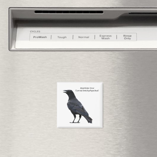 アメリカカラス マグネット (インサイチュ (食洗機))