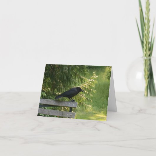 アメリカカラス(Corvus brachyrhynchos) カード (正面)