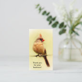 アメリカカーディナル 名刺 (スタンド正面)