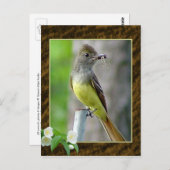 アメリカガイシタキ ポストカード2 ポストカード (正面/裏面)