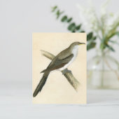 アメリカガッコウ ポストカード (スタンド正面)