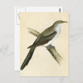 アメリカガッコウ ポストカード (正面/裏面)