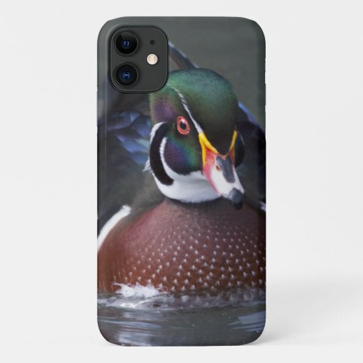 アメリカガモ iPhone 11 カバー (裏面)