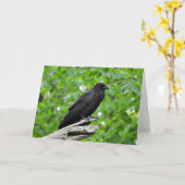 アメリカガラスの挨拶状、中ブランク カード (黄色い花)