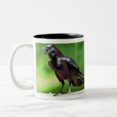 アメリカガラス ツートーンマグカップ (左)