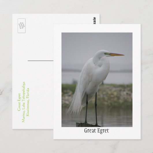 アメリカガン ポストカード (正面/裏面)