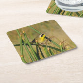 アメリカキイタキ スクエアペーパーコースター (アングル)