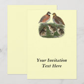 アメリカクイナの家族 招待状 (正面/裏面)