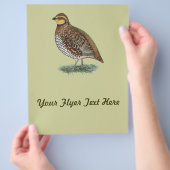 アメリカクイナの雌 チラシ (手)