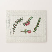 アメリカクランベリー(Vaccinium Macrocarpon) ジグソーパズル (横)