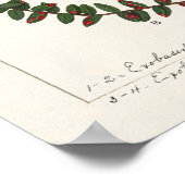 アメリカクランベリー(Vaccinium Macrocarpon) ポスター (角)