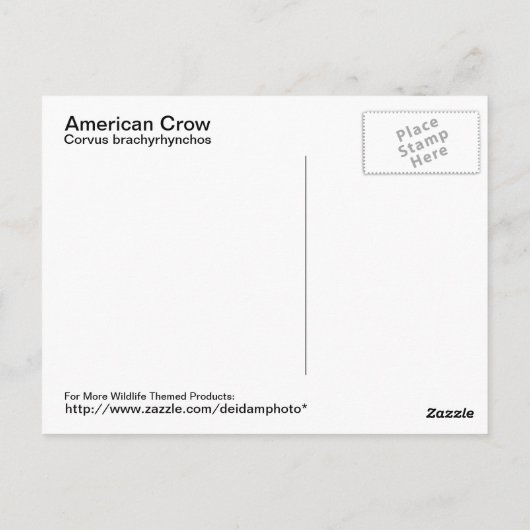 アメリカクロウはがき ポストカード (裏面)