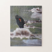 アメリカクロウタドリ (Agelaius phoeniceus) ジグソーパズル (縦)