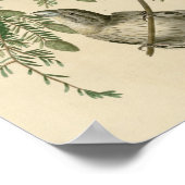 アメリカクロスビル ポスター (角)