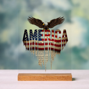 アメリカグランジ国旗とワシ アクリルサイン
