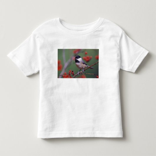 アメリカコガラ トドラーTシャツ (正面)