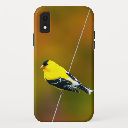 アメリカゴールドフィンチ - オリジナル写真 Case-Mate iPhoneケース (裏面)