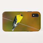 アメリカゴールドフィンチ - オリジナル写真 Case-Mate iPhoneケース (裏面(横))