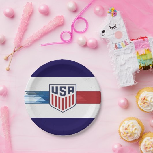 アメリカサッカー党用紙皿 ペーパープレート (パーティー)