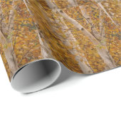 アメリカシラカンバの包装紙 ラッピングペーパー (ロールコーナー)