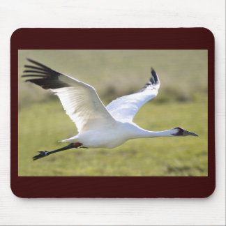 アメリカシロヅル(アメリカGrus) マウスパッド