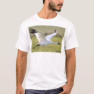 アメリカシロヅル(アメリカGrus) Tシャツ