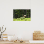 アメリカスイギュウ ポスター (キッチン)