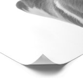 アメリカスイフトディアのデザート動物ポートレート ポスター (角)