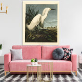 アメリカスズキサギ - オードュボンのアメリカの鳥 キャンバスプリント (インサイチュ (リビング))